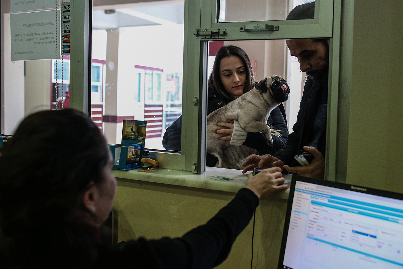 Owners of a dog pay their treatment fee in the Istanbul University Cerrahpasa Faculty of Veterinary Science Hospital in Istanbul, Turkey, 12 December 2018.