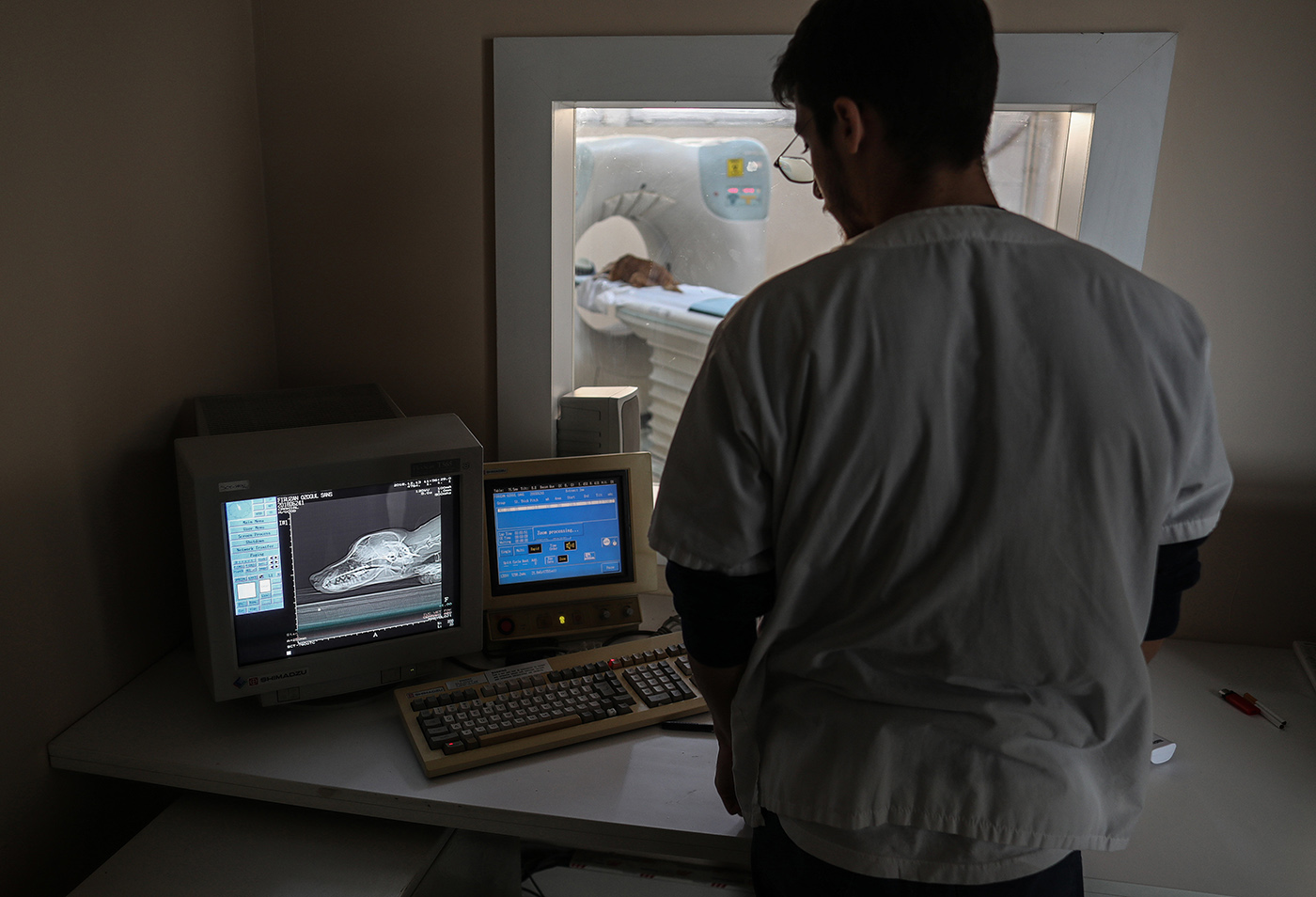A radiologist checks a tomography of a dog on a screen at the Istanbul University Cerrahpasa Faculty of Veterinary Science Hospital in Istanbul, Turkey, 13 December 2018. 