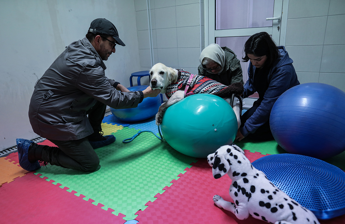 A veterinarian applies physical therapy to a dog in the Istanbul University Cerrahpasa Faculty of Veterinary Science Hospital in Istanbul, Turkey, 19 December 2018. 
