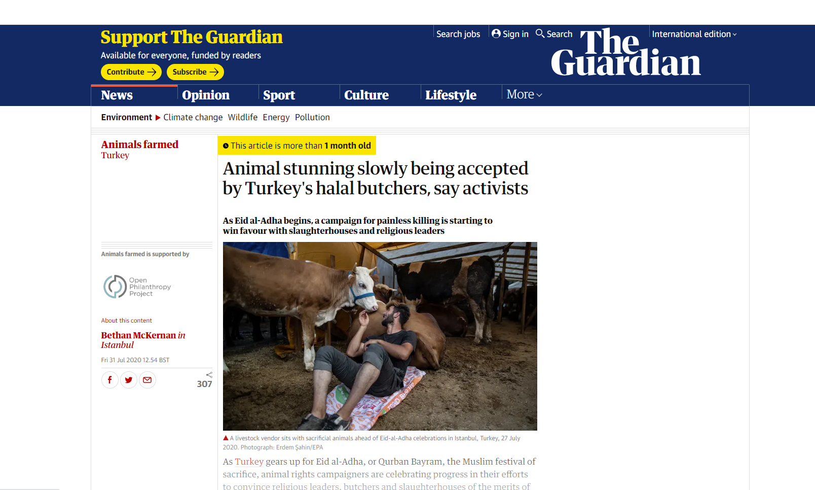 The guardian web