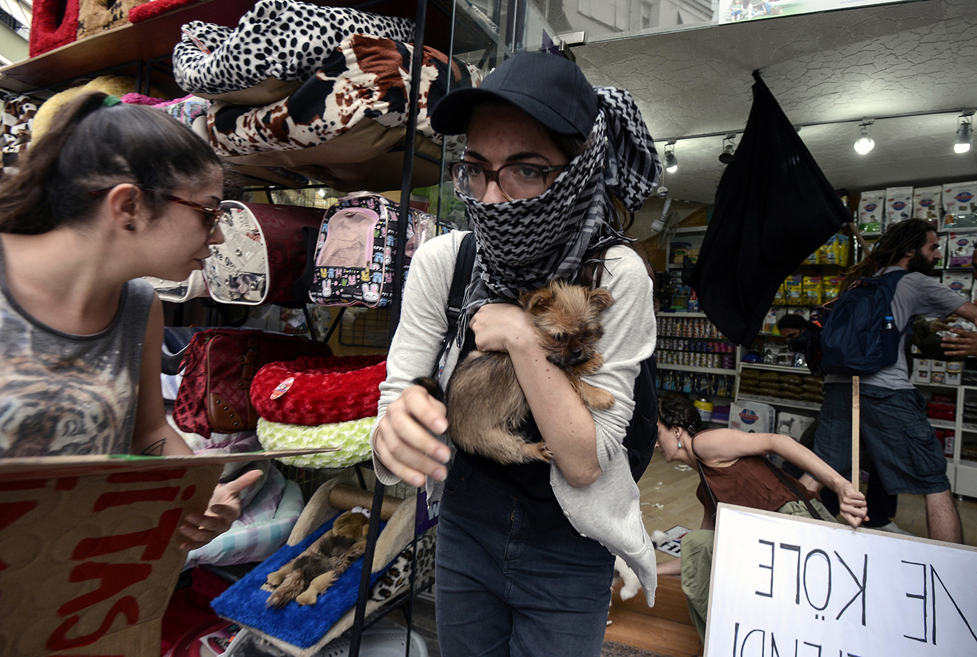 Protesters set free the animals from a petshop after a rally for animal rights in Istanbul, Turkey, 15 June 2014. 