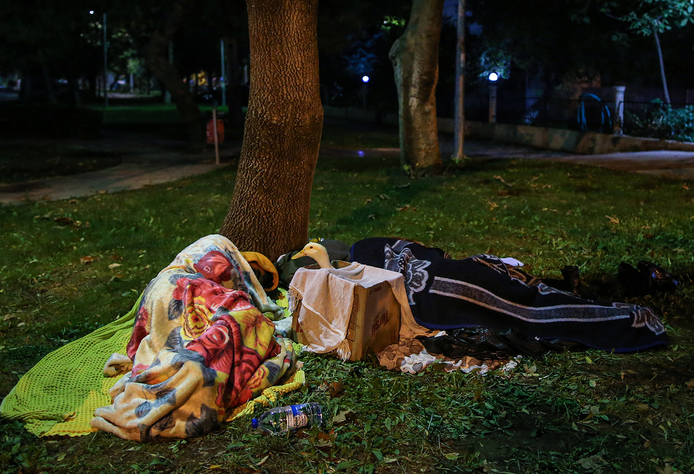 People sleep at a park after a 7.0 magnitude earthquake in the Aegean Sea, at Bayrakli district in Izmir, Turkey, 31 October 2020. According to Turkish media reports, at least twenty four people died while more than eight  hundreds were injured and dozens of buildings were destroyed in the earthquake.