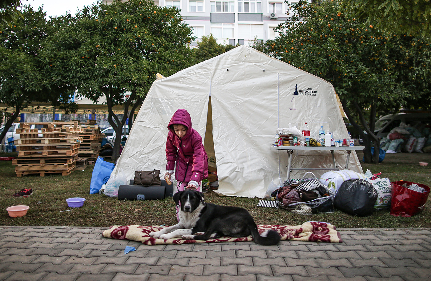 A girl caress a dog in front of her tent after a 7.0-magnitude earthquake, at Bayrakli district in Izmir, Turkey, 03 November 2020. According to latest reports, at least 95 people died and more than 900 were injured in the earthquake that hit the Aegean Sea on 30 October 2020.