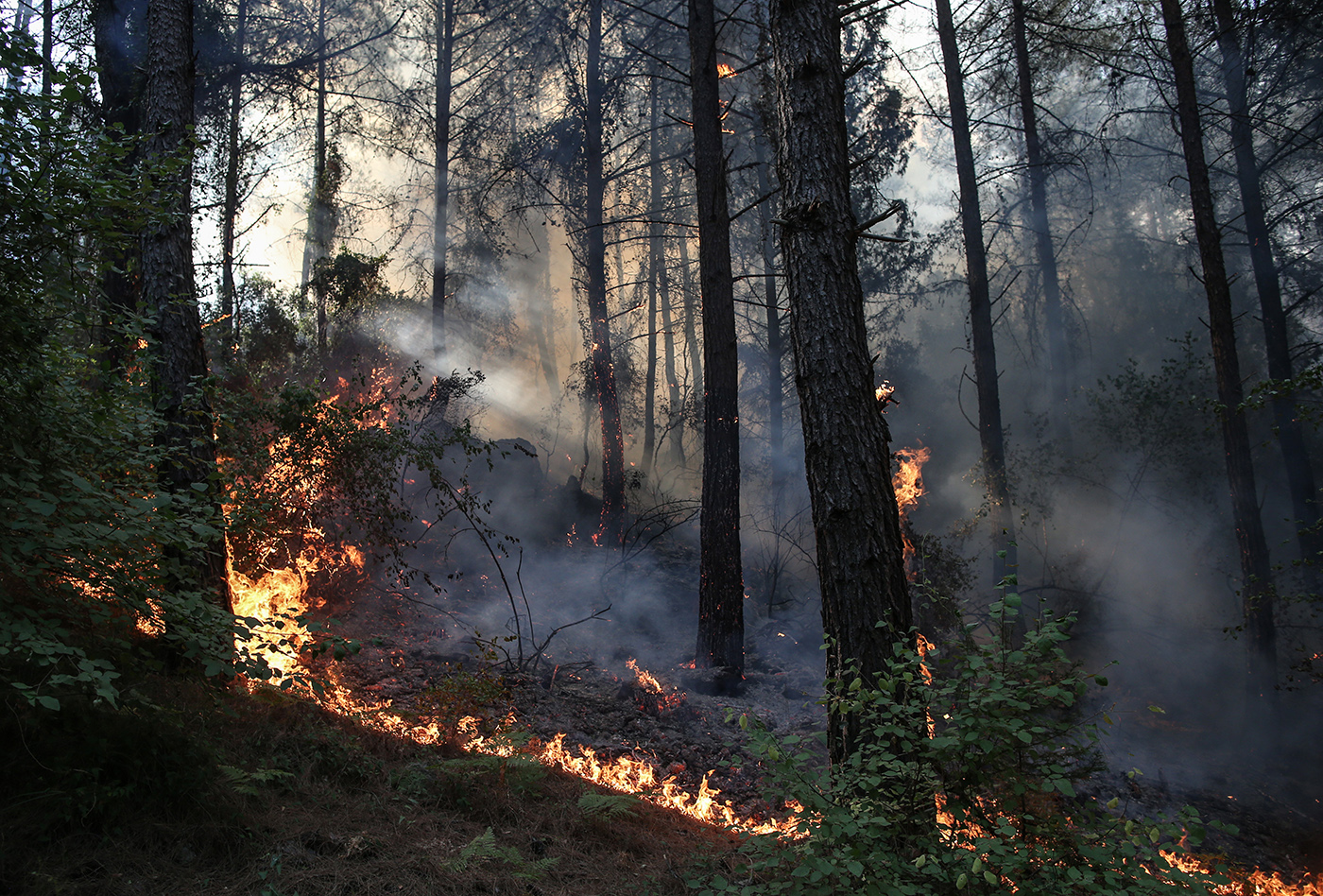 A wildfires burning at the rural of Marmaris district of Mugla, Turkey, 31 July 2021. According to a statement by the Turkish government