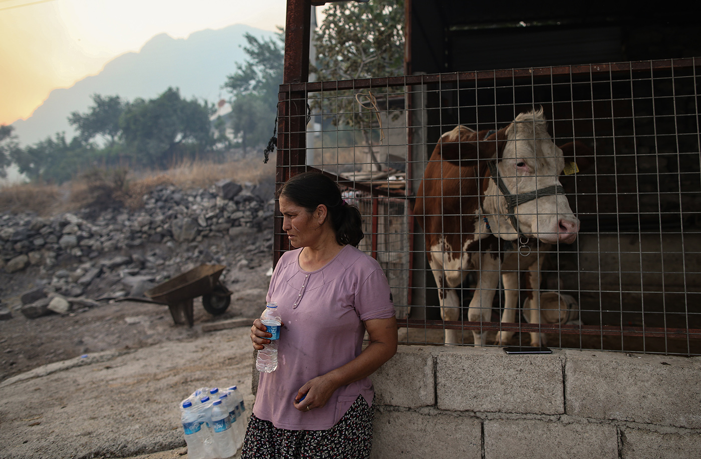 A woman stands with her animals during the wildfires at the Bozdogan village of the Milas district of Mugla, Turkey, 02 August 2021. Turkish Health minister Fahrettin Koca confirmed that eight people have lost their lives due to the wildfires raging in Turkey’s Mediterranean towns.